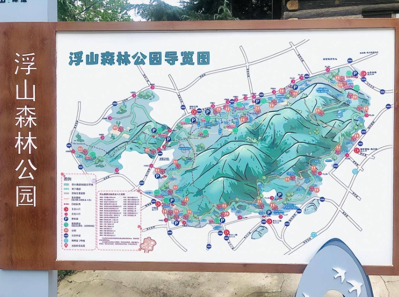 浮山迷雾中,青岛浮山森林公园藏着怎样的仙境传说?