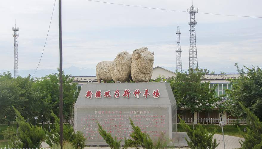中恒国科种羊性能测定系统:为新疆巩乃斯种羊场注入科技动力