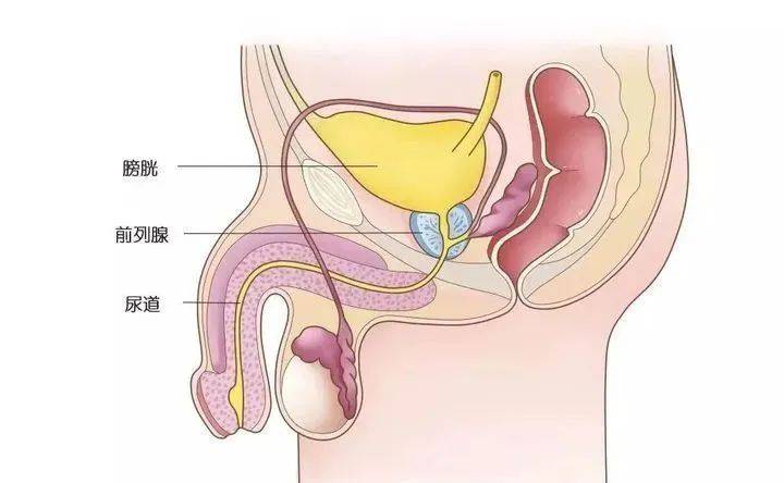 可能只是你方式没选对
