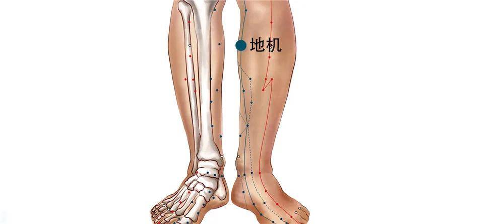 脚窝疼的位置图图片