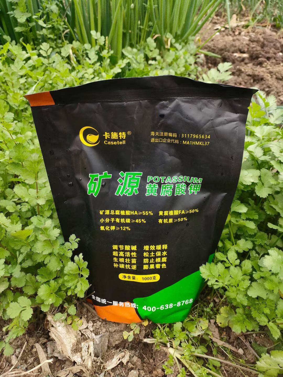 活化土壤,生根壮苗新利器————卡施特矿源黄腐酸钾_作物_根系_肥料