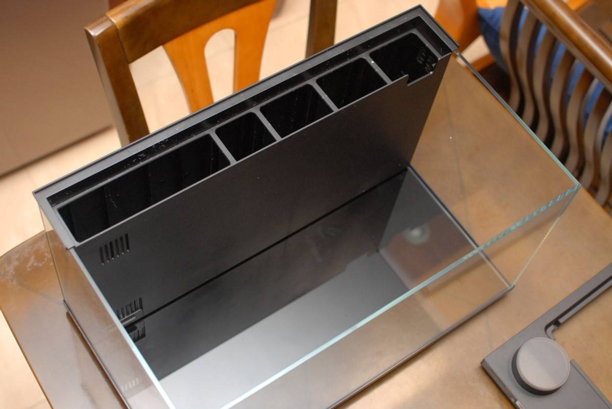 当贝智能鱼缸1 Ultra体验:智能加持,尽享养鱼新乐趣