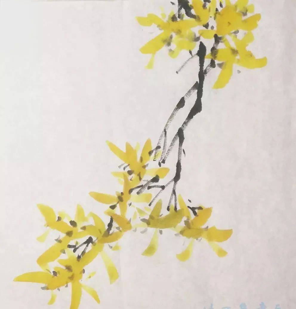 国画教程,迎春花的画法,一学就会!