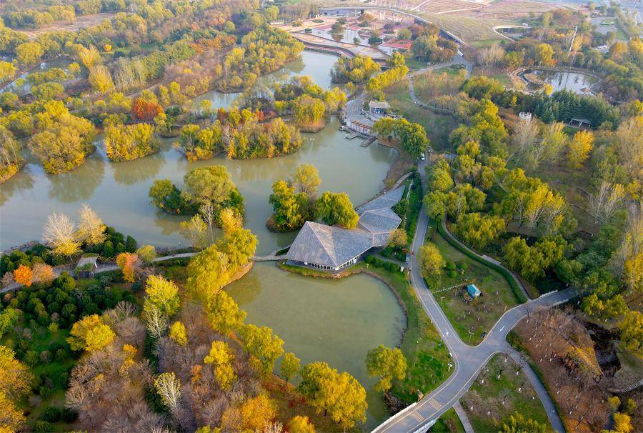 西安浐灞国家湿地公园冬日美景如诗如画