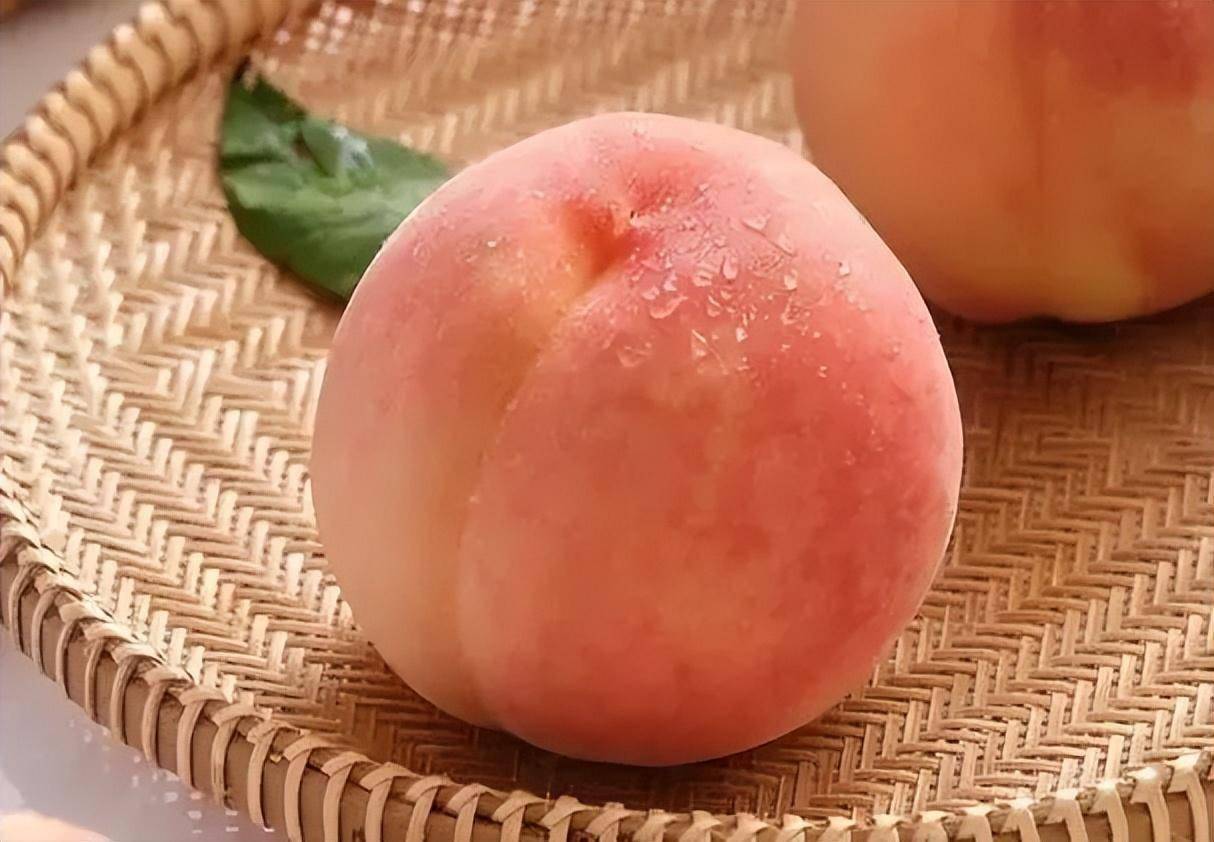 11 月桃子种植秘籍：从土壤准备到防寒措施，打造优质桃园_桃树_病虫害_根系