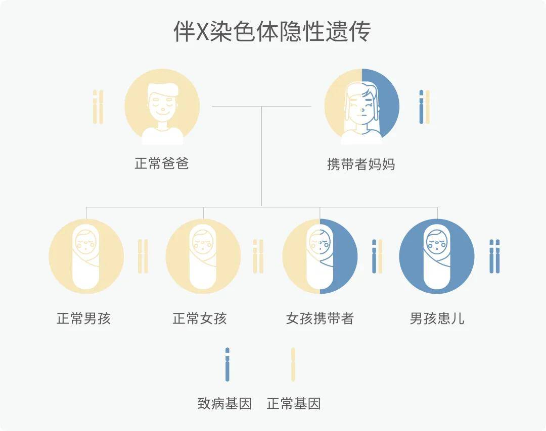 白化病遗传系谱图图片