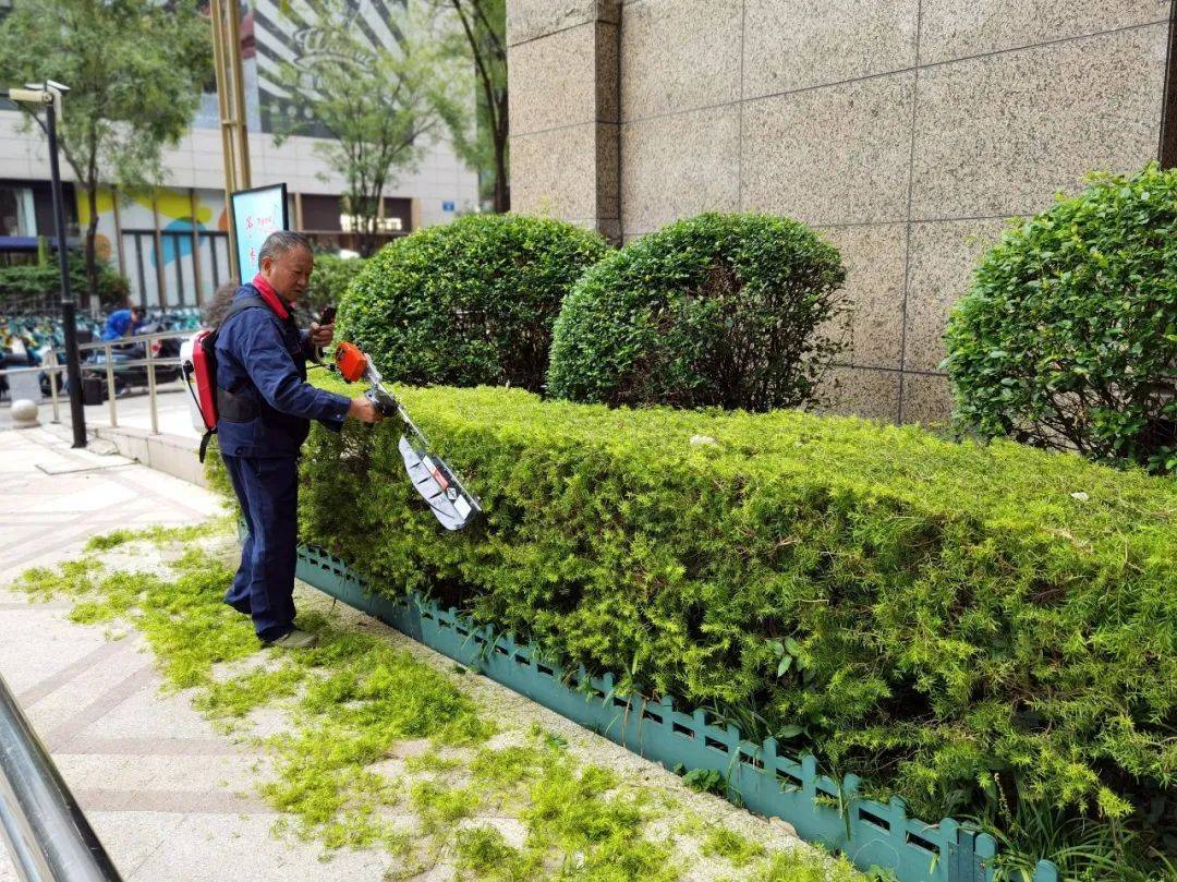 广州园林绿化公司：城市绿肺的守护者