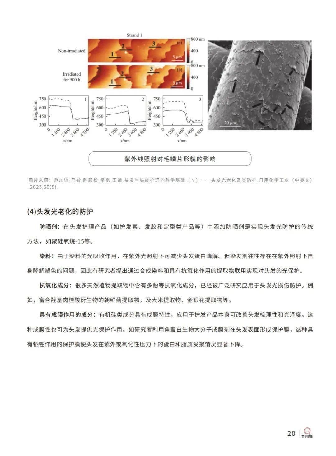 青眼情报：2024中国洗发护发市场现状分析报告，科学洗发护发指南