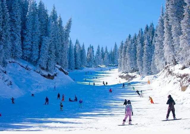 纵赏冬日美景，畅享滑雪激情 一起来铜川沉浸式体验冰雪旅游的魅力