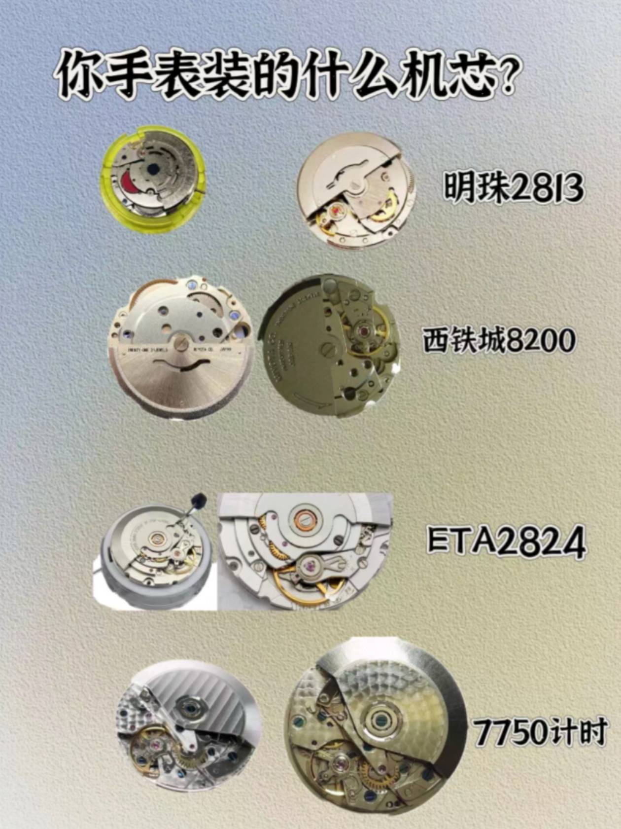 法兰克穆勒v45机芯图片