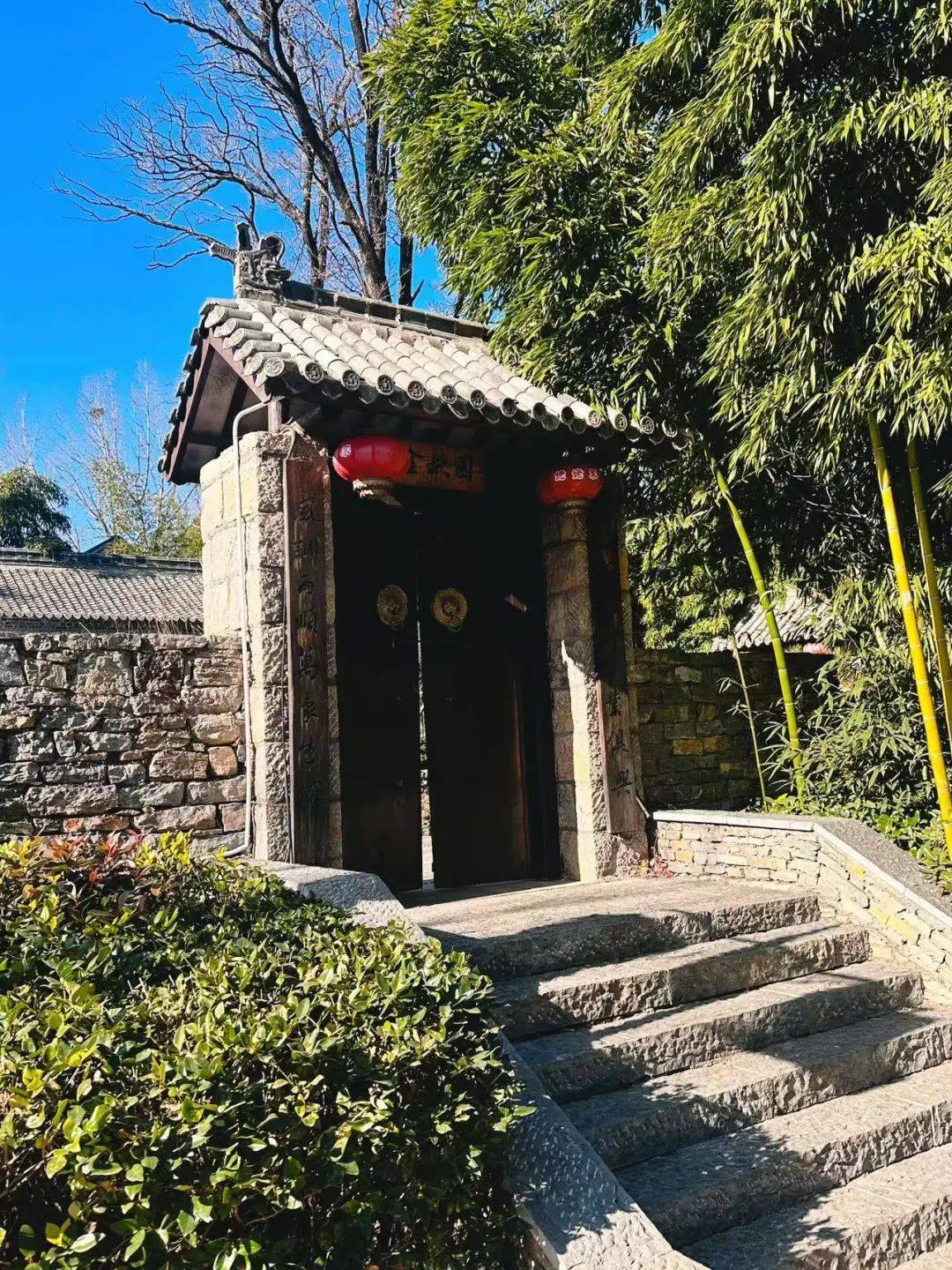 摘草莓赏美景山东这个宝藏小村甜到心里啦