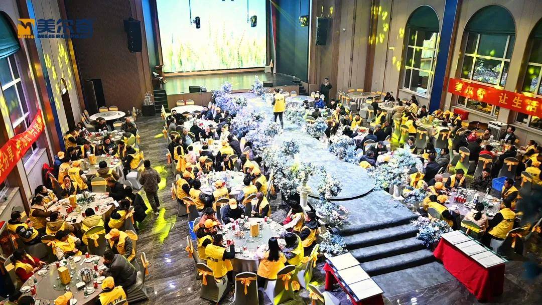 石涂装丨美尔奇绽于“莲花”，突破“渠道内卷” 