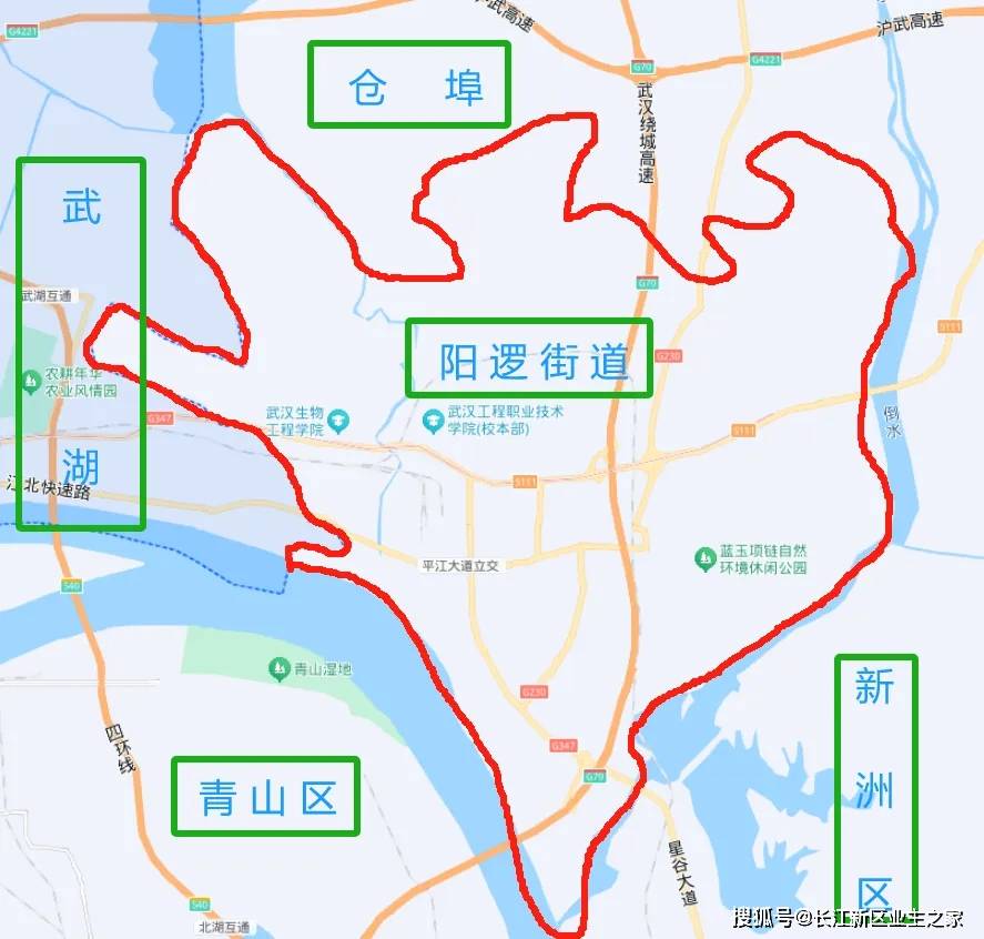 武汉市阳逻区地图图片