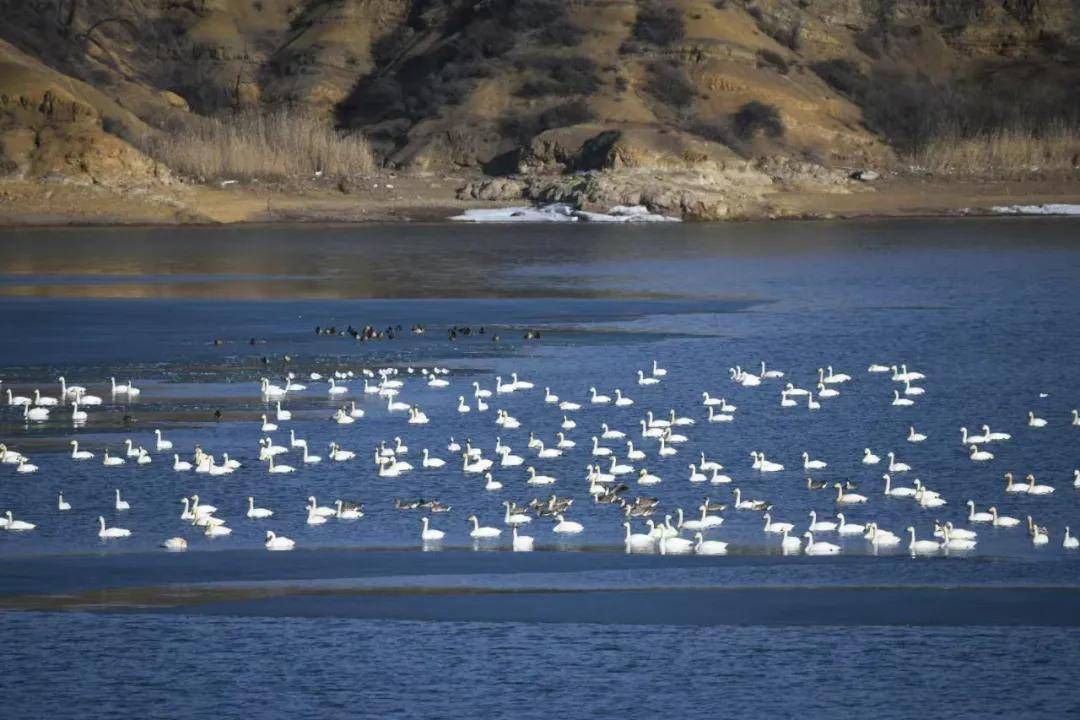 【郭庄水利风景区】位于松溪河湿地公园的核心区域郭庄村,依靠郭庄