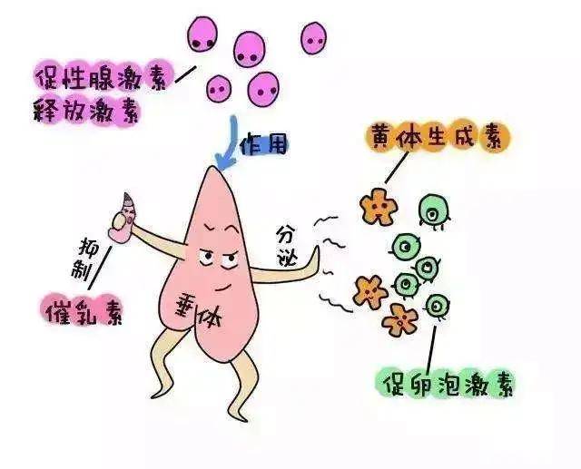 "姨妈"出现状况,是不是内分泌有问题?需要做什么检查?