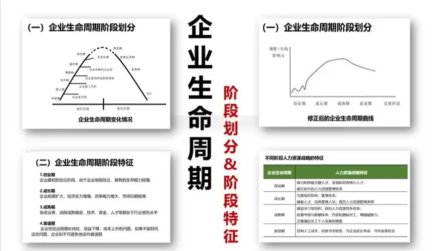 图片[3]-企业生命周期阶段及其管理特征-中小企实战运营与营销工作室