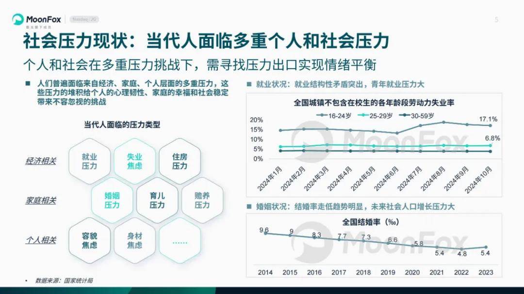 月狐数据：2024年悦己生活洞察报告，当代人面临多重个人和社会压力