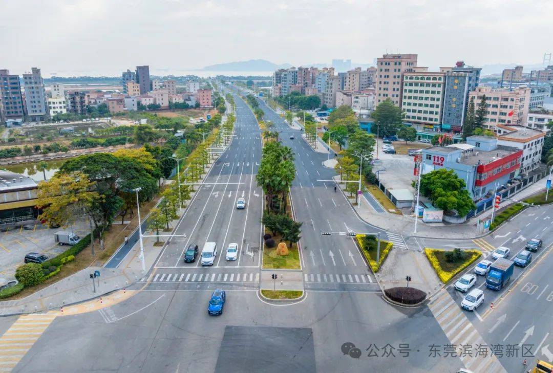 滨海湾威远岛交通建设加速：多条道路齐头并进 滨海湾威远岛：交通建设助力城市发展新阶段