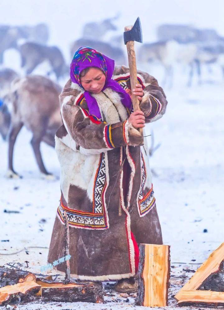 西伯利亚土著雅库特人:颠沛流离三百年的历史
