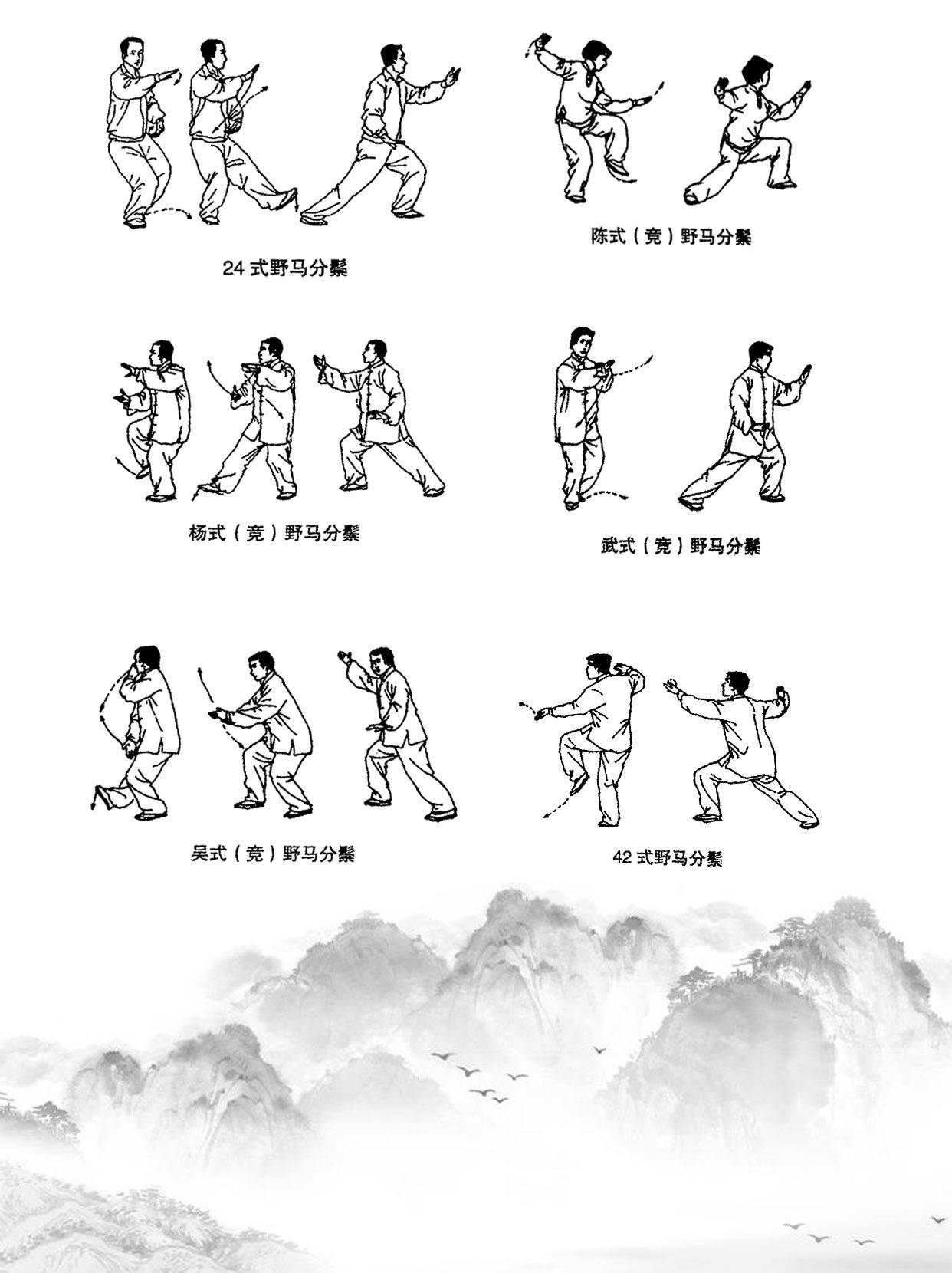 养生太极拳教程视频第一段(养生太极拳教程视频第一段完整版)