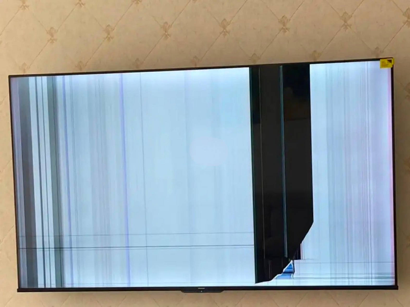 小伙用铁衣架连接信号电视直接花屏,这是什么原因呢?
