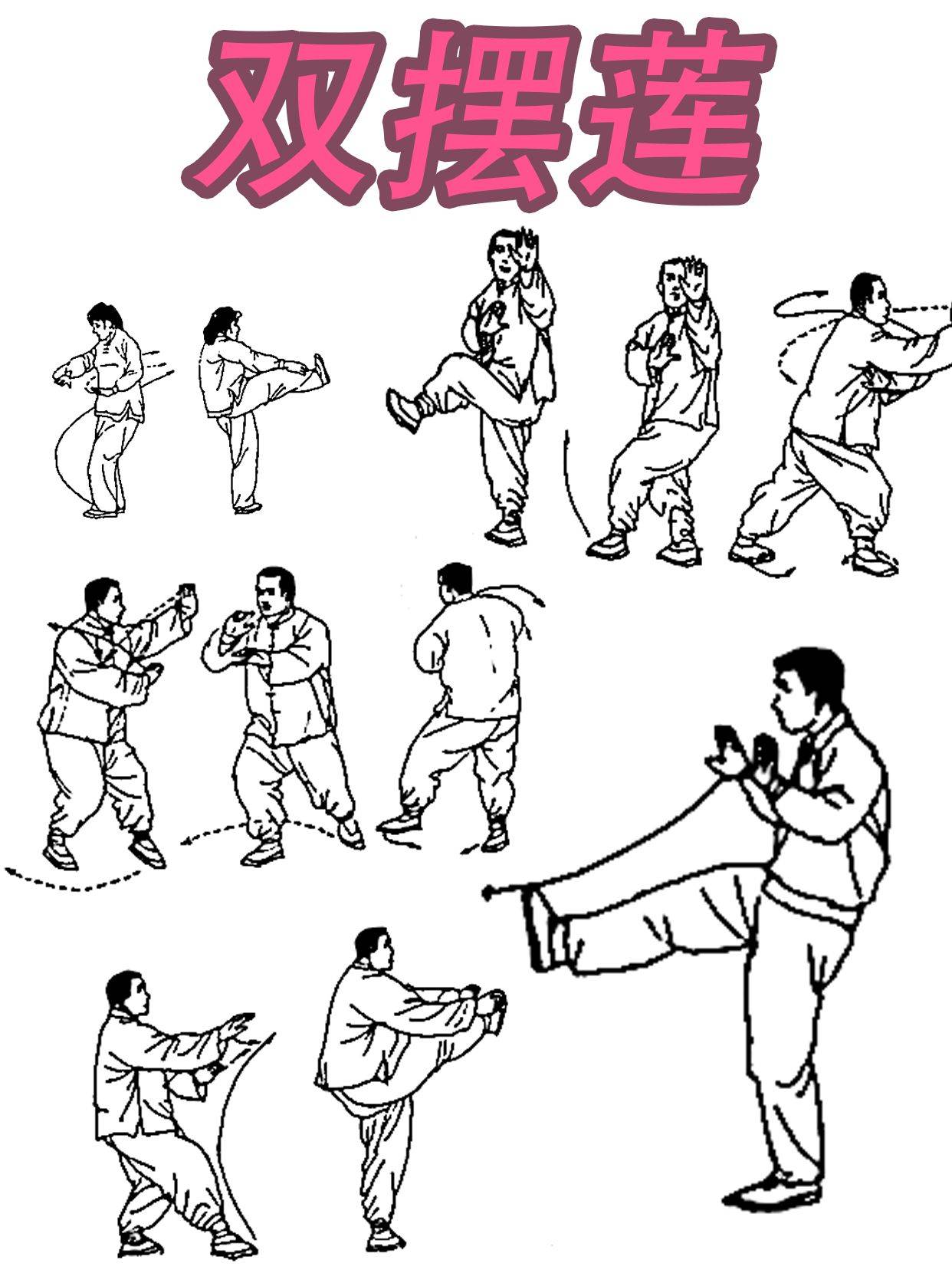 杨丽太极拳:一种身心的修养之道