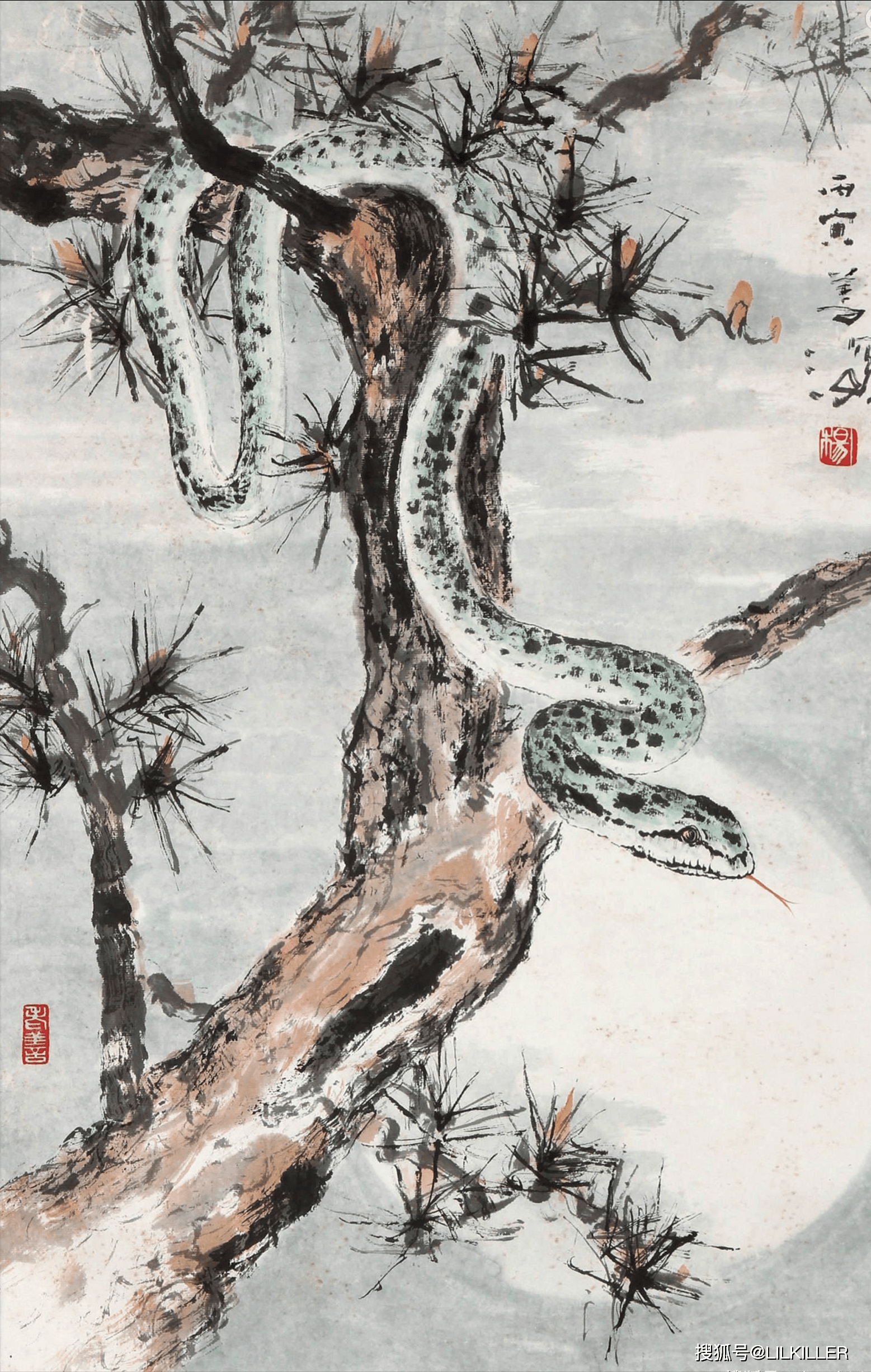 生肖蛇本月运势查询运(生肖蛇本月运势查询运程详解)