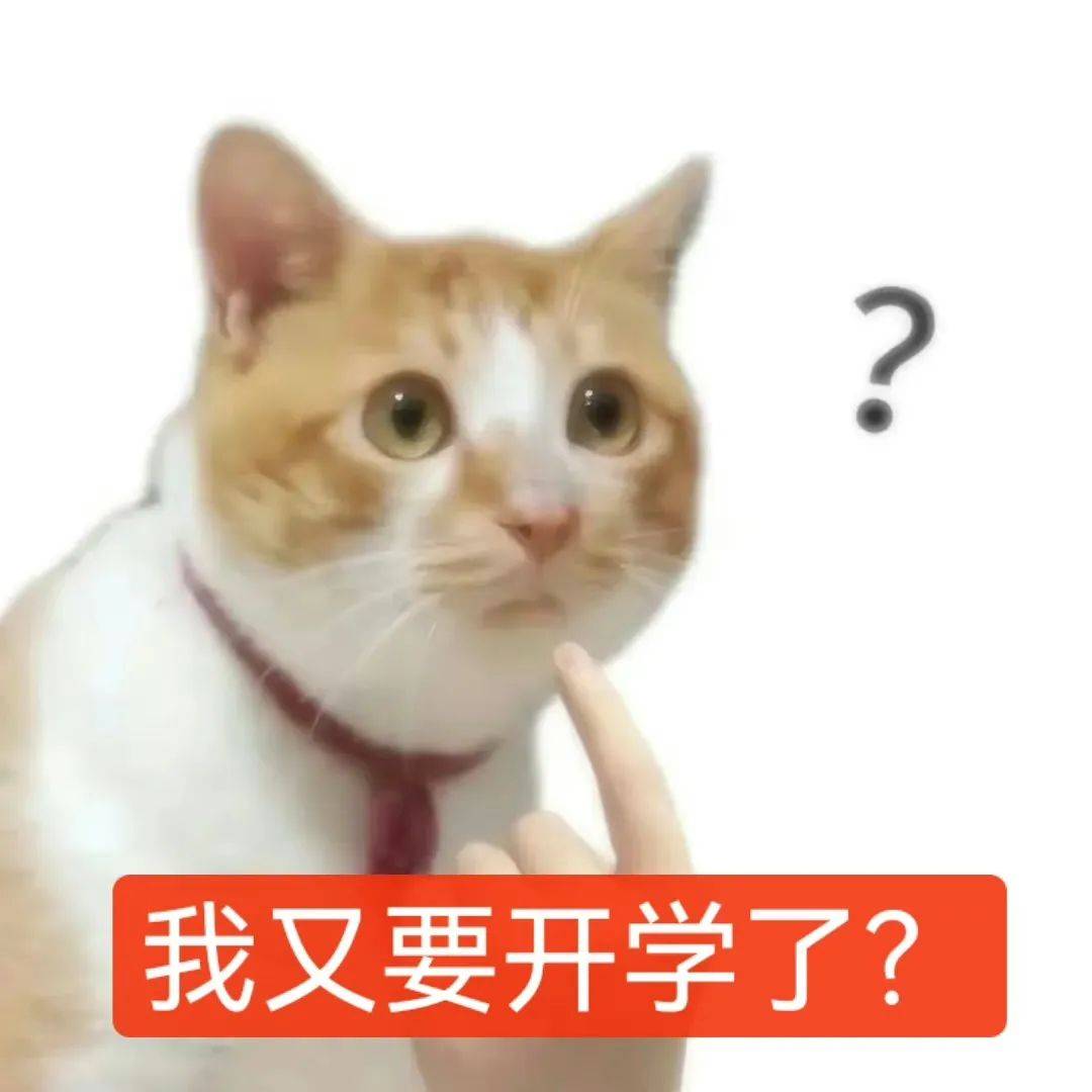 窝补药开学表情包