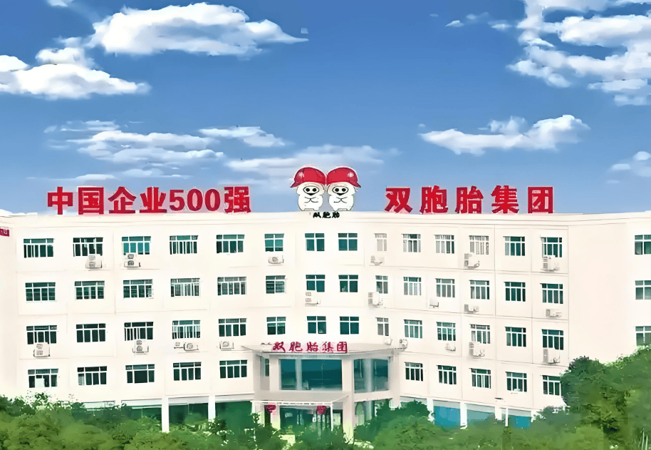 双胞胎集团开年被罚超百万元 污染问题高发一年