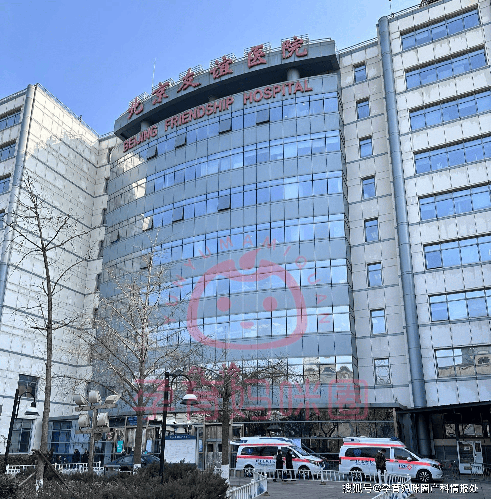 包含北京友誼醫院、西城區號販子代掛號，提前預約很靠譜的詞條