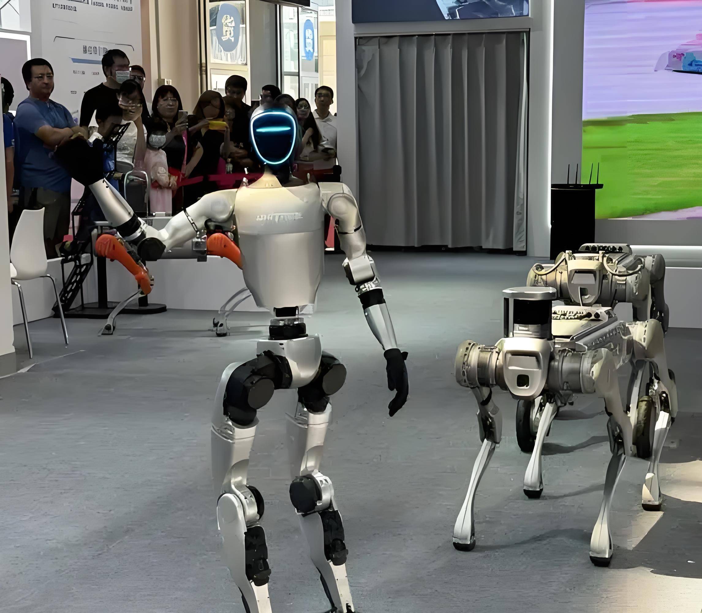 投资基金管理有限公司:全球人形机器人市场前景分析