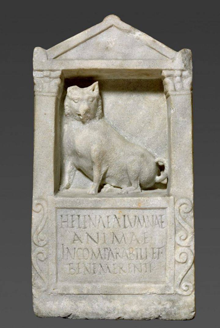 数字图像由 getty open content 提供在这块罗马墓碑浮雕上,一只吃饱