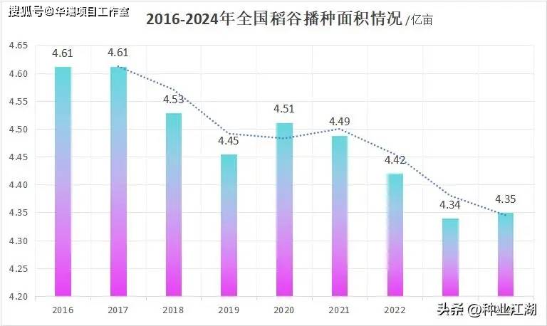 2025年中国稻米市场展望