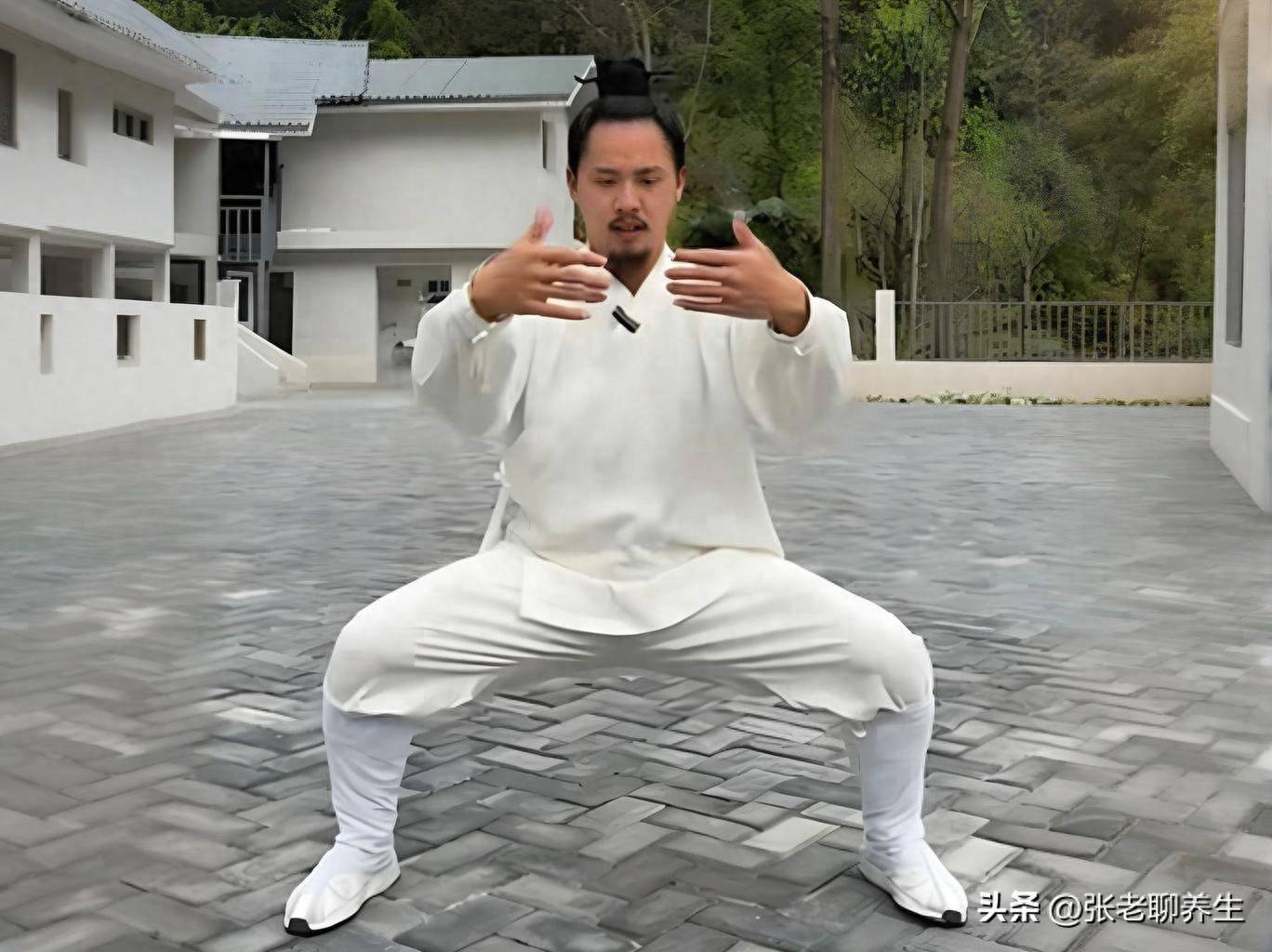 少林72艺之首“四平马步桩”功法详细教学、注意事项_肌肉_纤维_爆发力