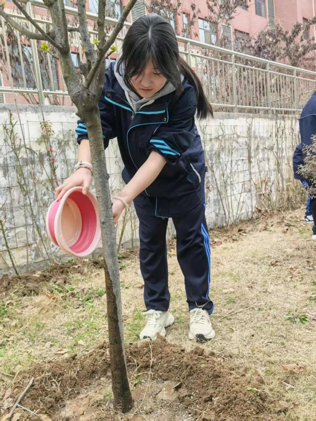 "植"此新绿,与春拥抱
