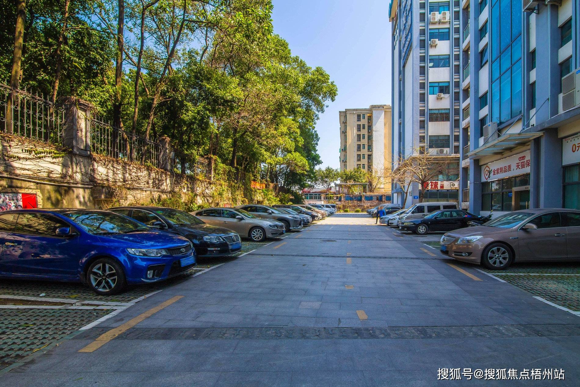 2025年深圳马家龙文化体育中心物业公司,深圳马家龙文化体育中心最新