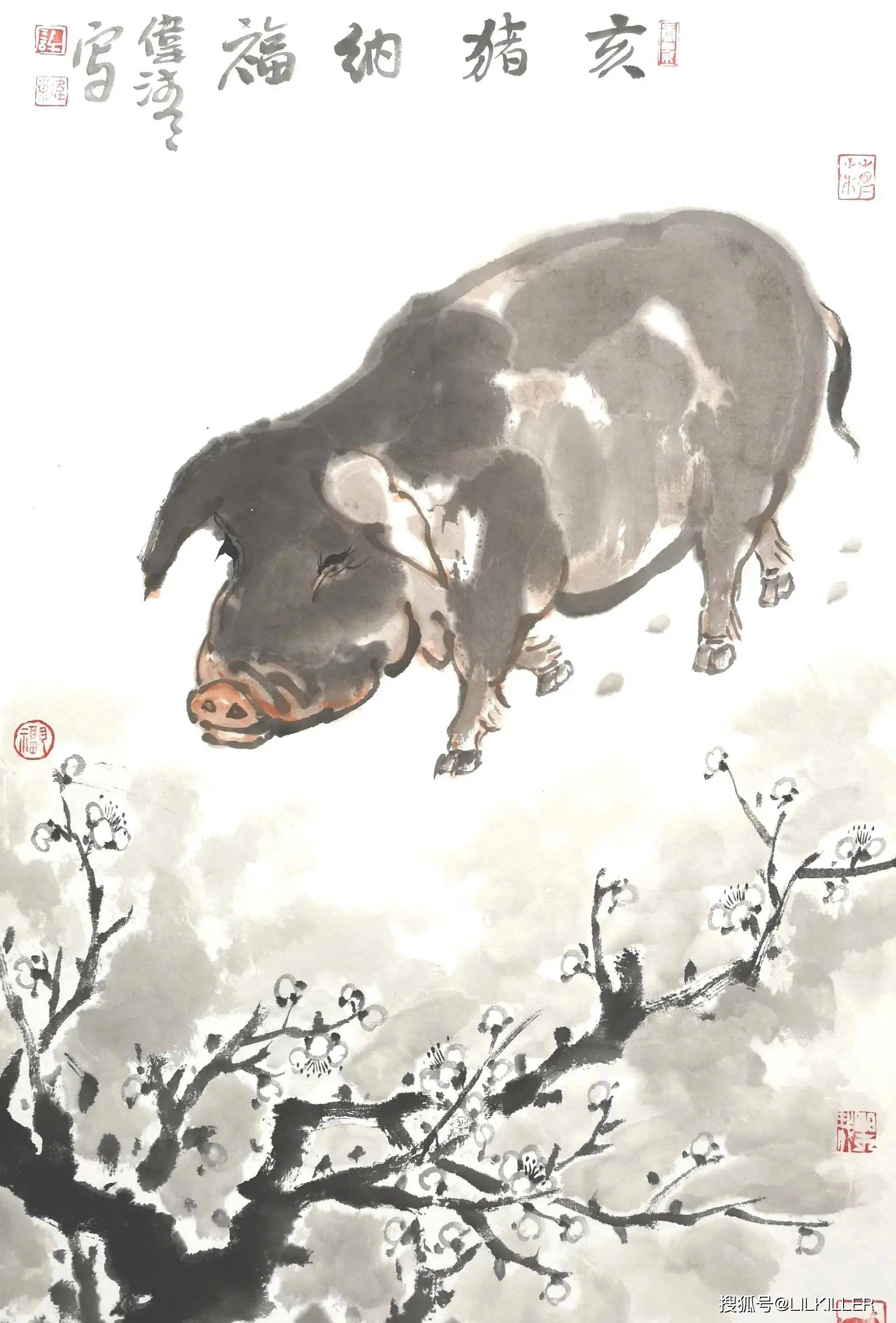 生肖猪不同年月运势(属猪人各月运势)