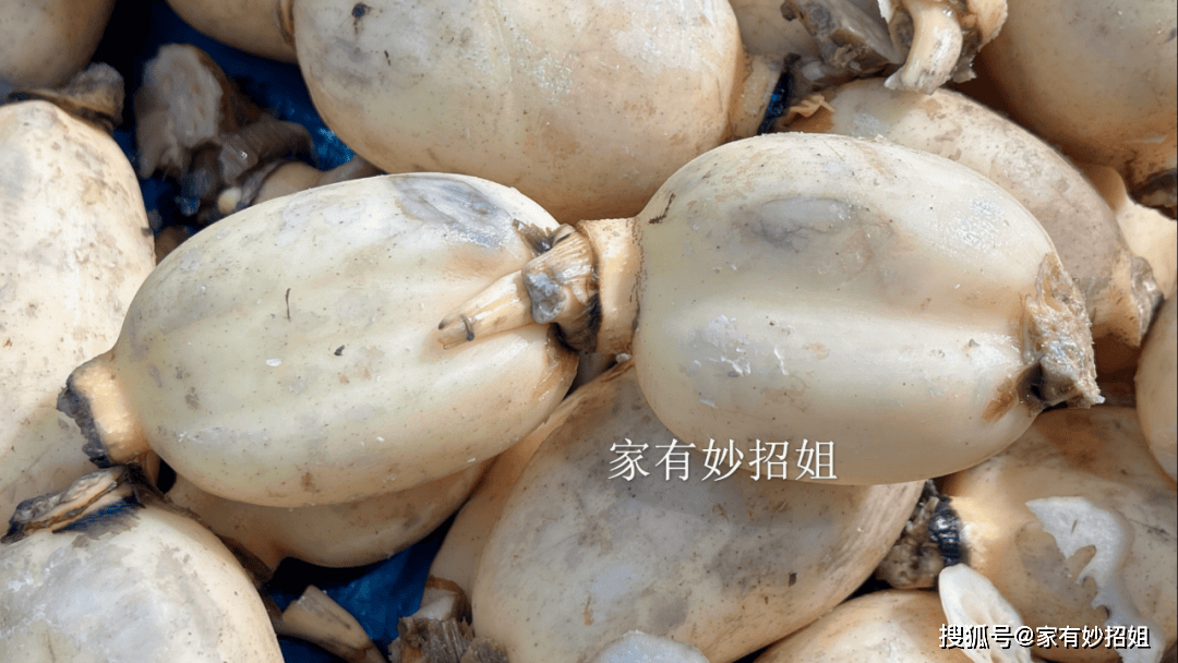 买莲藕时,要分清7孔和9孔,学会这4个辨别方法,老板也夸你内行
