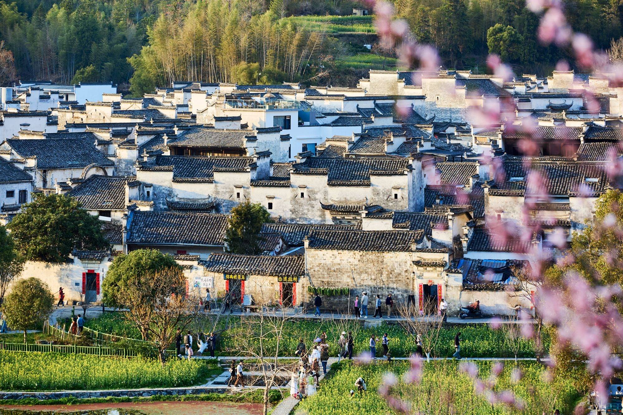 深度体验九华山二日游：自然风光与人文历史的完美结合
