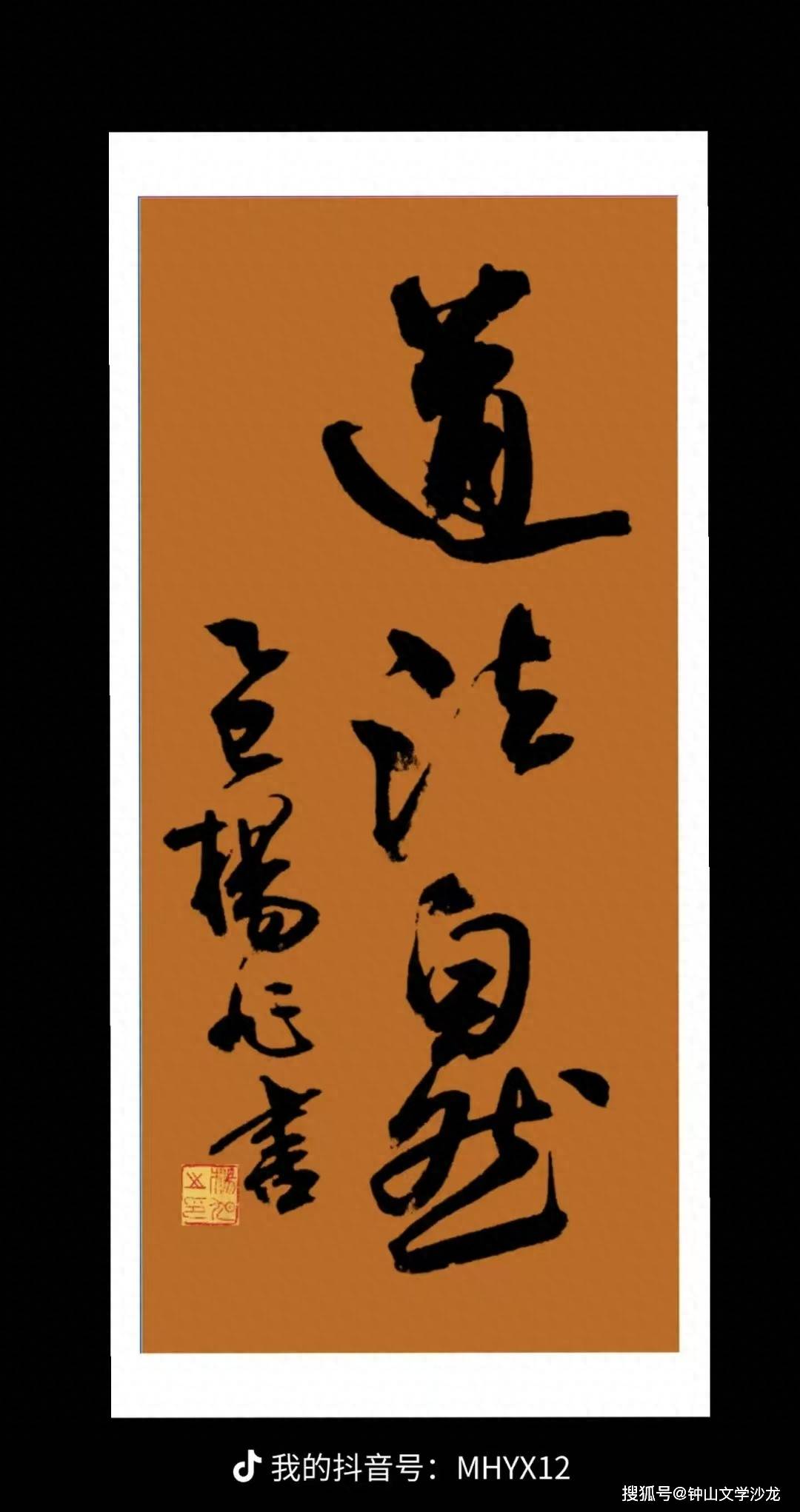 王华||六盘水青年书法家杨旭书法作品《道法自然》赏析