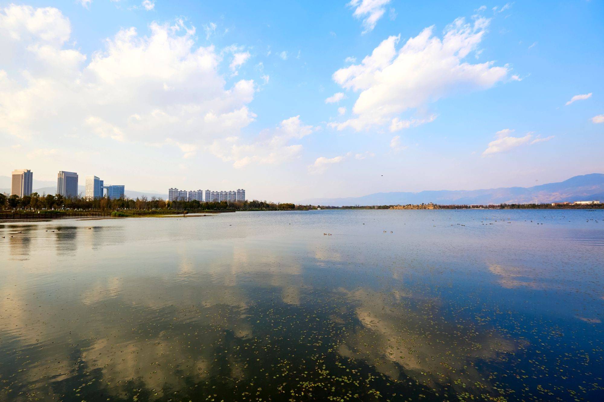 云南保山青华海湿地公园,环境优美,空气清新,是哀牢文化发源地