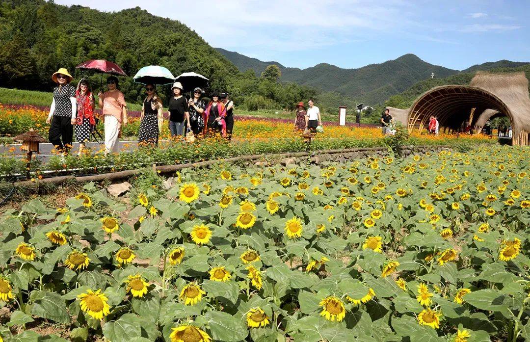 "田园综合体"乡村振兴模式研究