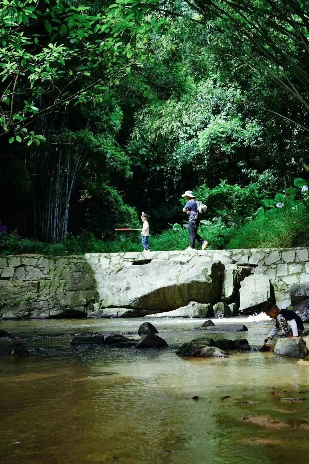 前半段翠竹绿树偶尔还能看到很多小动物长岭国家登山健身步道位于