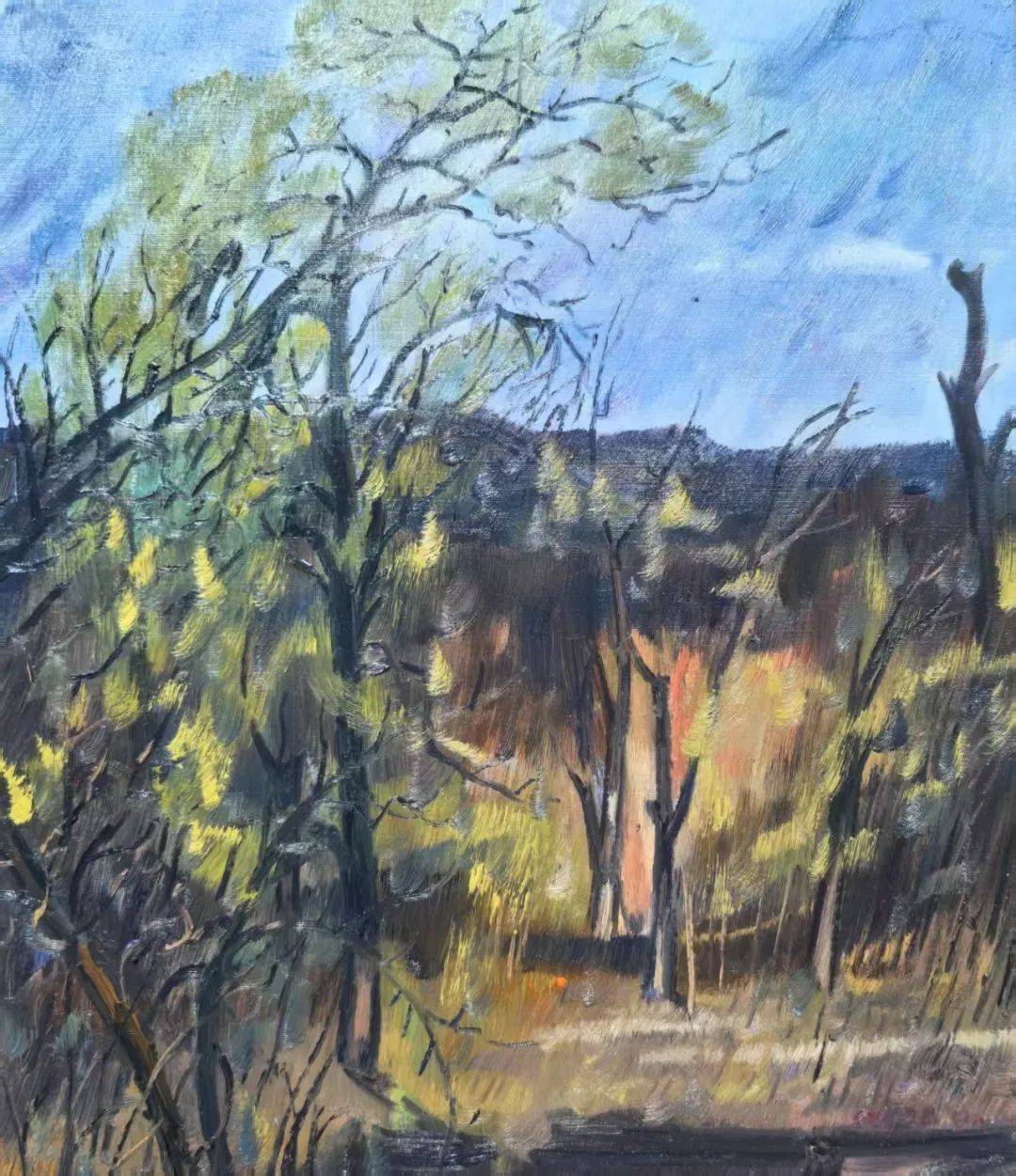 2025张开宇油画写生作品欣赏