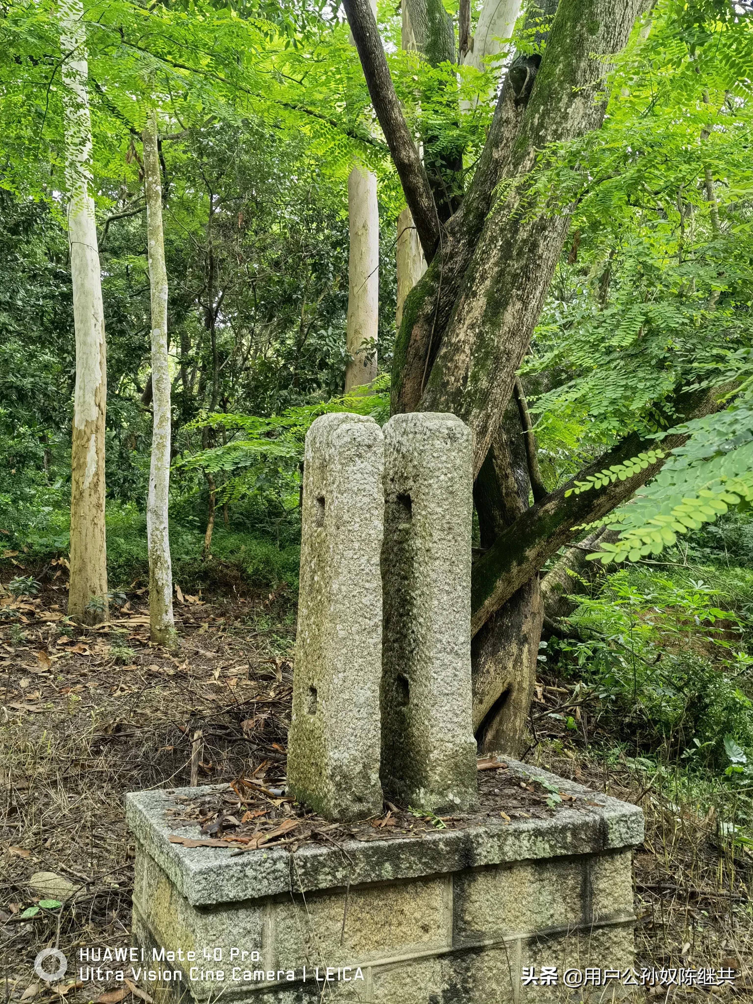 漳州唐代墓陵,千年守护传承至今!"开漳圣王"后裔们属于农民?