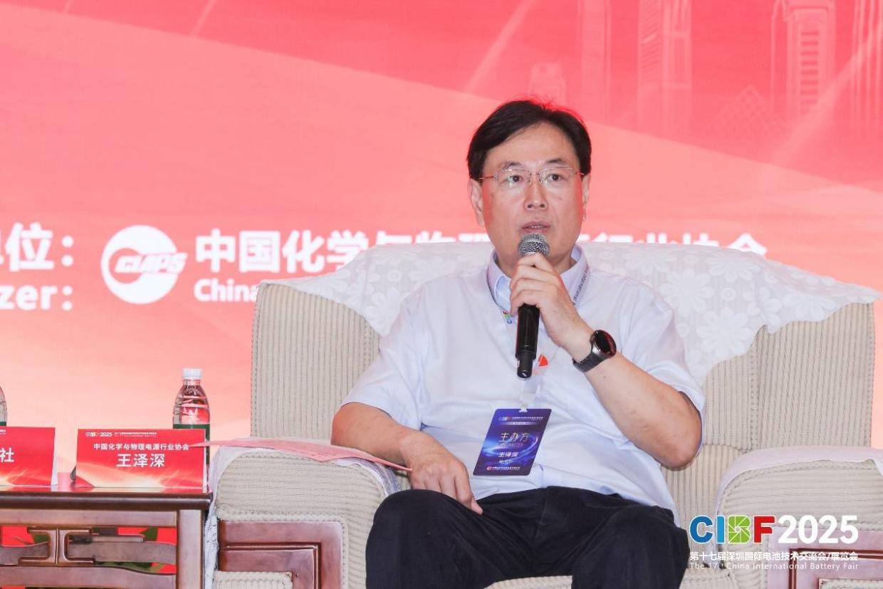 王泽深谈中国新能源发展三路径：技术突围、标准输出、全球扎根