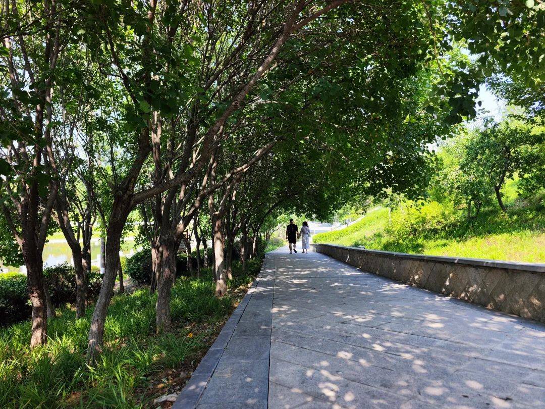 郑州兰河公园:一条玉带穿绿廊,透风,透光,清静,清凉