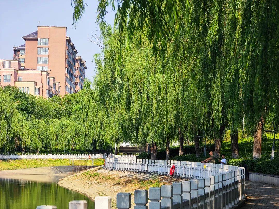 郑州兰河公园:一条玉带穿绿廊,透风,透光,清静,清凉