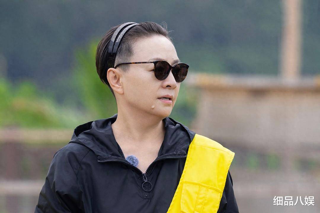 原创            梦幻联动，《桃花坞5》初见面爆出两个《浪姐》梗，您发现了吗？