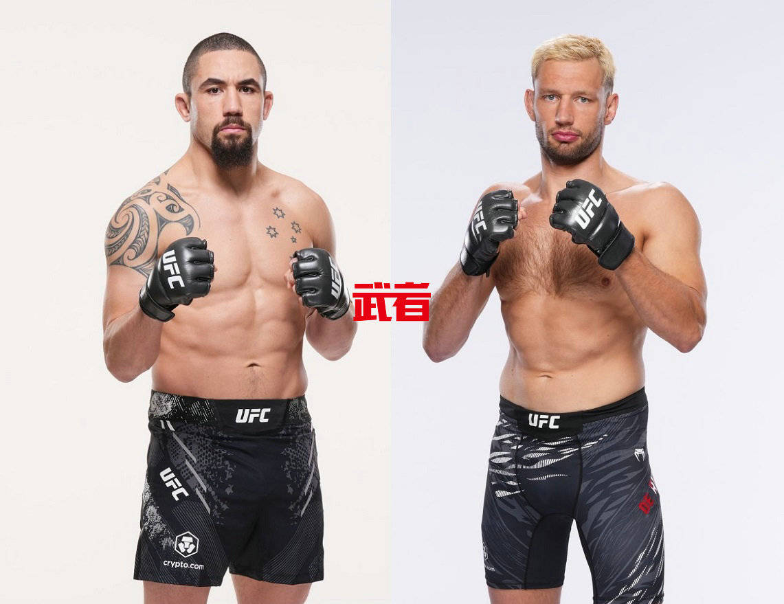 UFC格斗之夜：彼得·严与马库斯·麦吉的雏量级巅峰对决